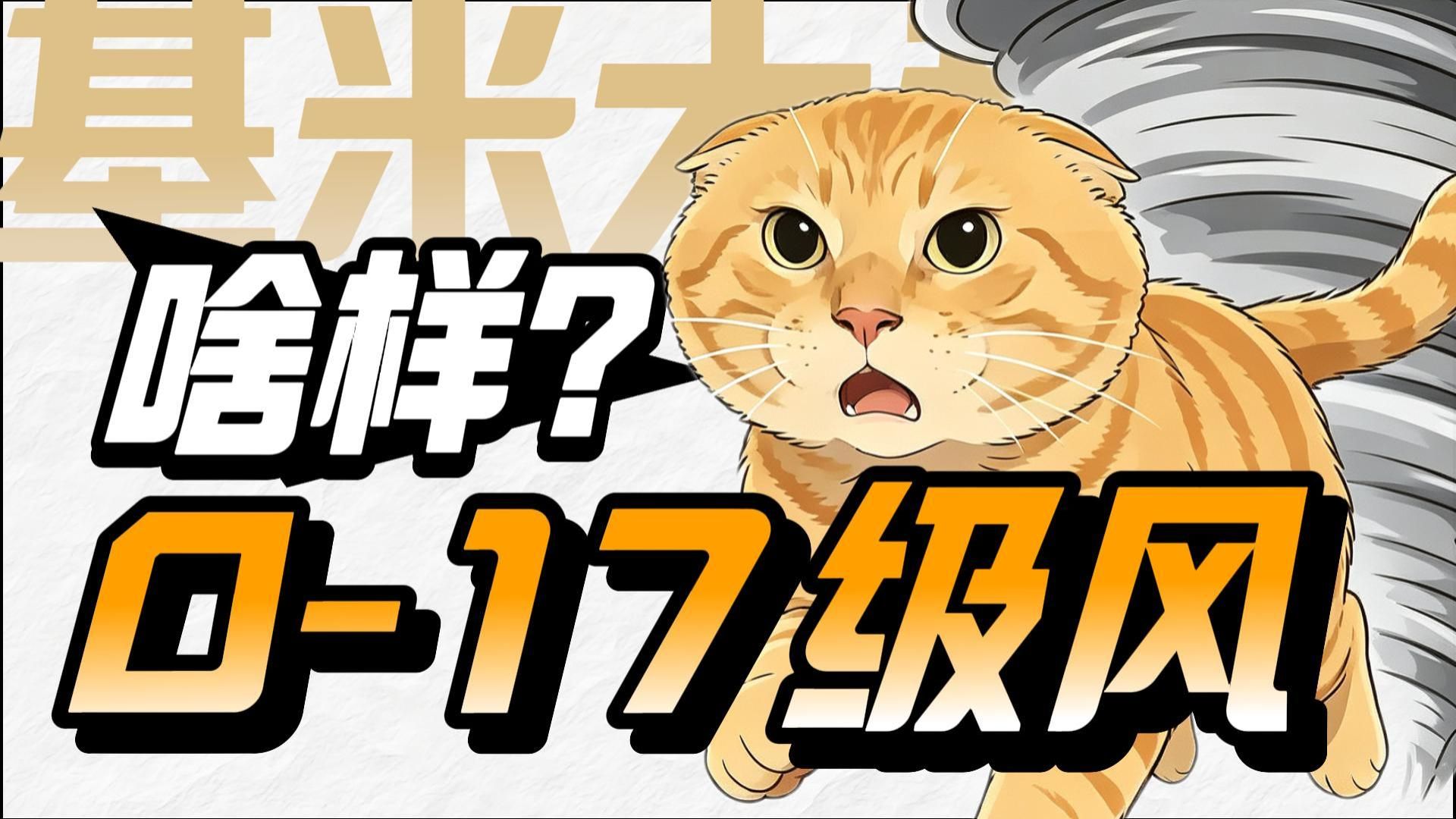 17级台风要来了！一口气了解0-17级风到底是啥样？