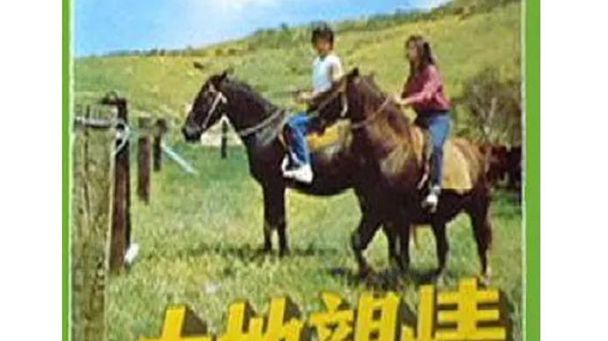 字幕下载