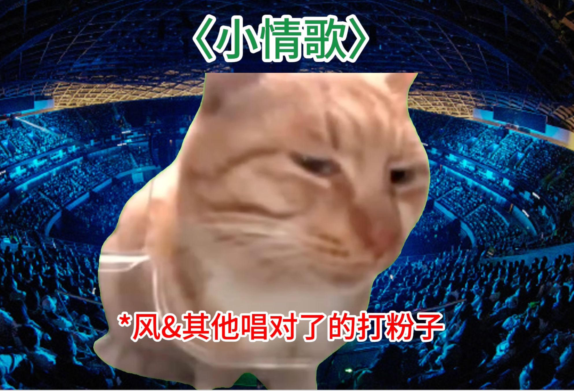 【猫meme】我在杭州看老绿（上）丨 苏打绿演唱会repo