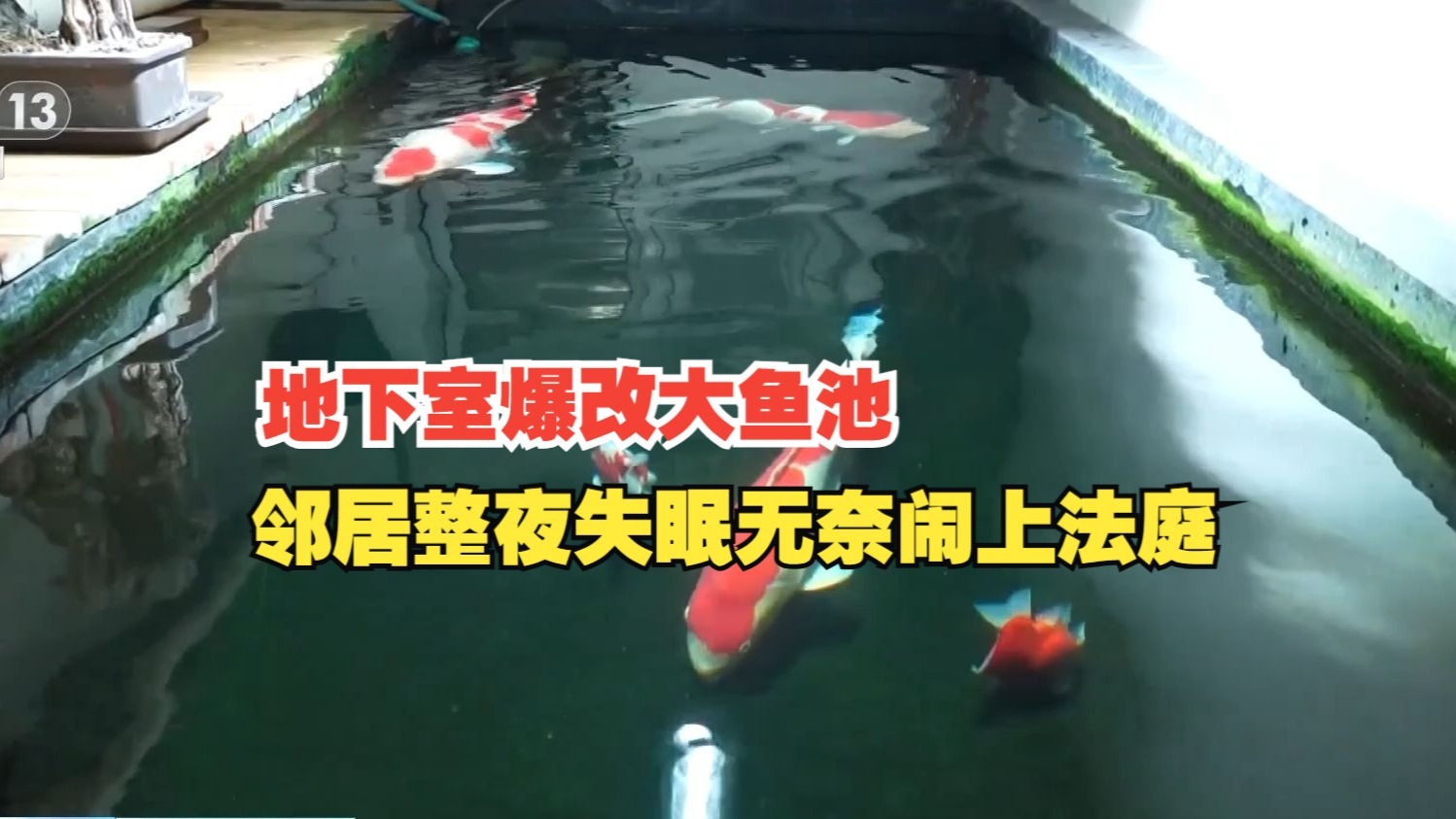 地下室被重金爆改成大鱼池 邻居被扰整夜失眠无奈闹上法庭