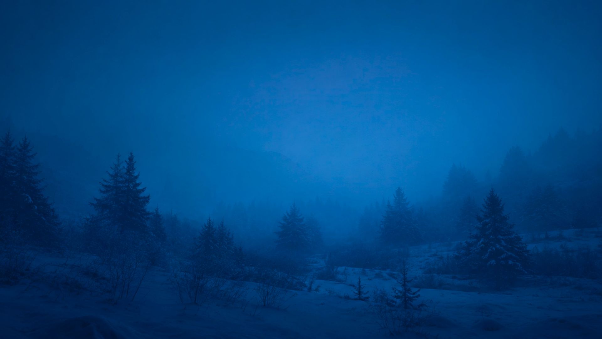 「我停留在所有人离开之后」 // Ambient氛围音乐❄️