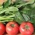 菠菜别再炒着吃，加3个西红柿，教你新吃法，营养解馋，太香了