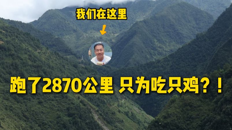 藏在祖国边边深山里的鸡是啥味？！