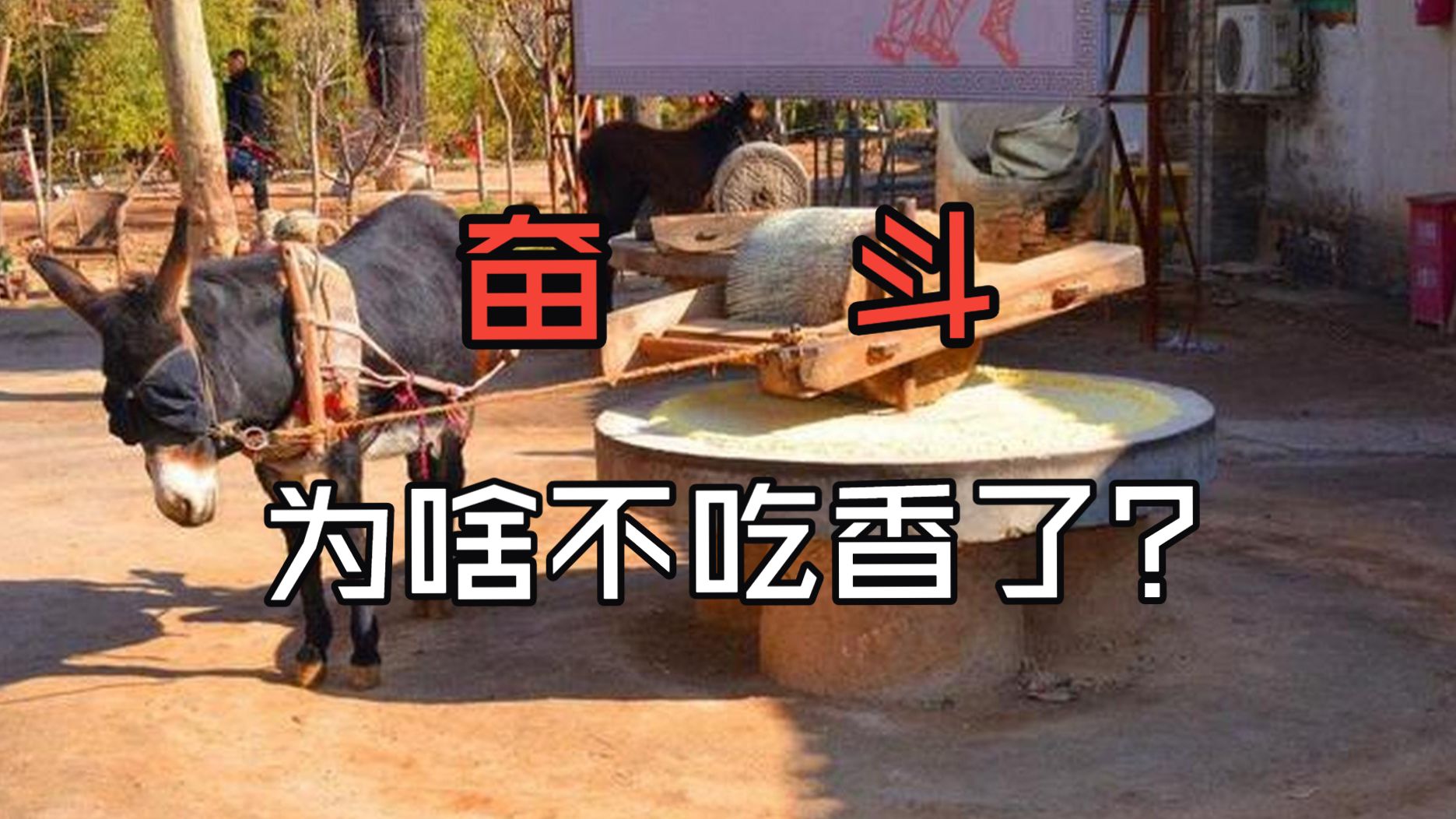 谁是阻碍年轻人奋斗的最大元凶?