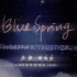 “和你们在一起我们才有这么灿烂的青春”  | Blue Spring