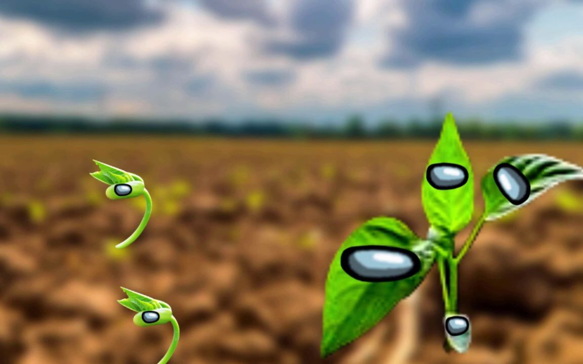 植物sus【amogus】_哔哩哔哩_bilibili
