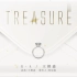 王栎鑫 - Treasure