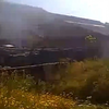 学生田间玩耍发现罂粟，果断报警后民警立即到场铲除，民警带着奖状上门表彰
