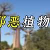 为猴面包树正名！中国科学家领衔揭秘“植物巨人”的“老家