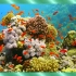 红海✨神奇的海底世界 ▪ 水下博物馆 ❚ 3小时放松视频 + 平静的音乐