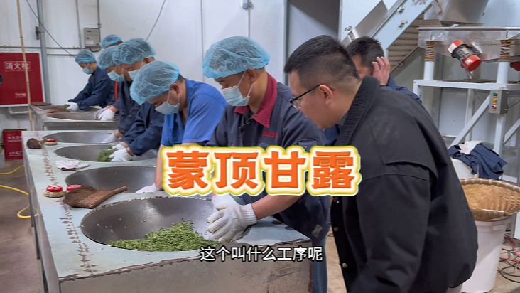 大鹏来到四川茶厂，定制了300斤蒙顶甘露，手工茶是真的香