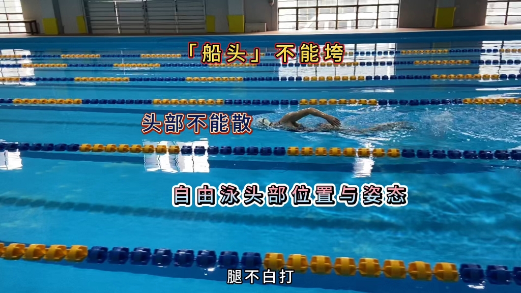 游自由泳时，头部应该怎样做？位置与姿态细节