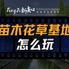 苗木花草基地，怎么玩？如何作为项目的收入来源
