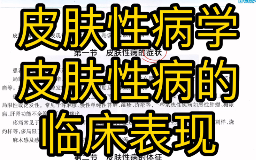 皮肤性病的临床表现【皮肤性病学期末速成2】