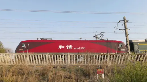 D29,D35,T8,T124,K7710,通过庆都公园…