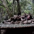 金刚亚马逊-原始丛林生存-第48集，在野外过夜，雨林，荒野，生存本能，