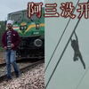 印度阿三高压线上模仿人猿泰山【阿三没挂