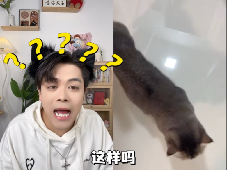 难绷！烟嗓版小猫！！