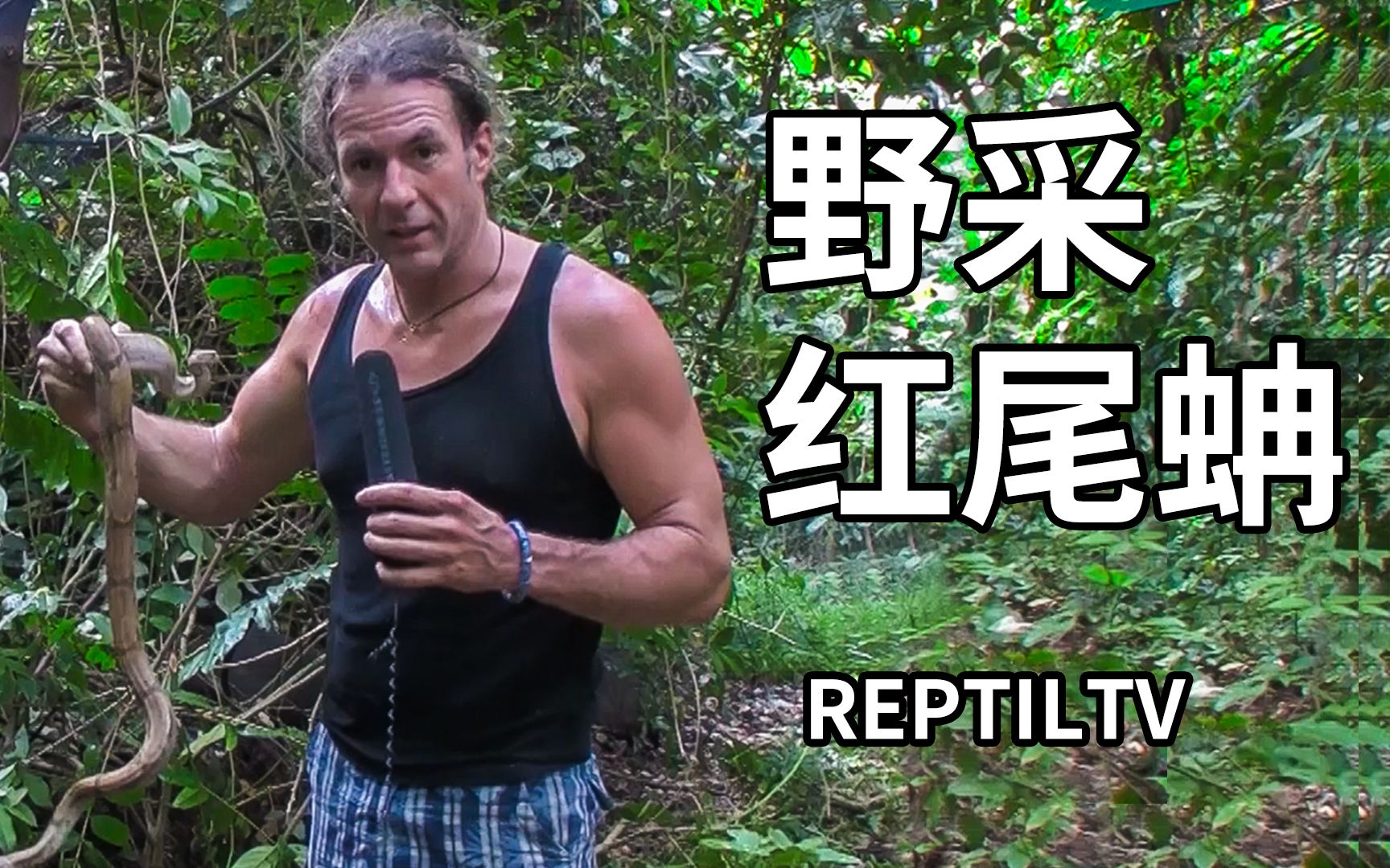 【Reptiltv】stefan的巴拿马野采之旅