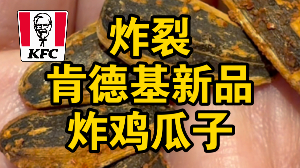 【肯德基】炸裂新品，炸鸡瓜子！