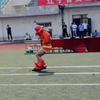 到也不用这么着急呢