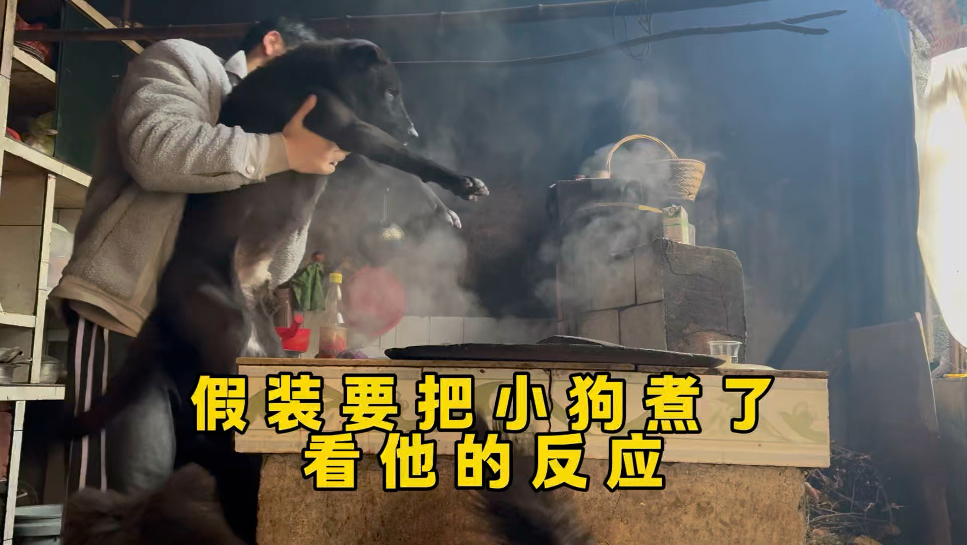 假装要把小狗煮了，看它是什么反应，结果很意外！