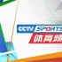 【放送文化】CCTV5体育频道历年ID集锦(1995-    )(高清重制版)/CCTV5 Ident History(