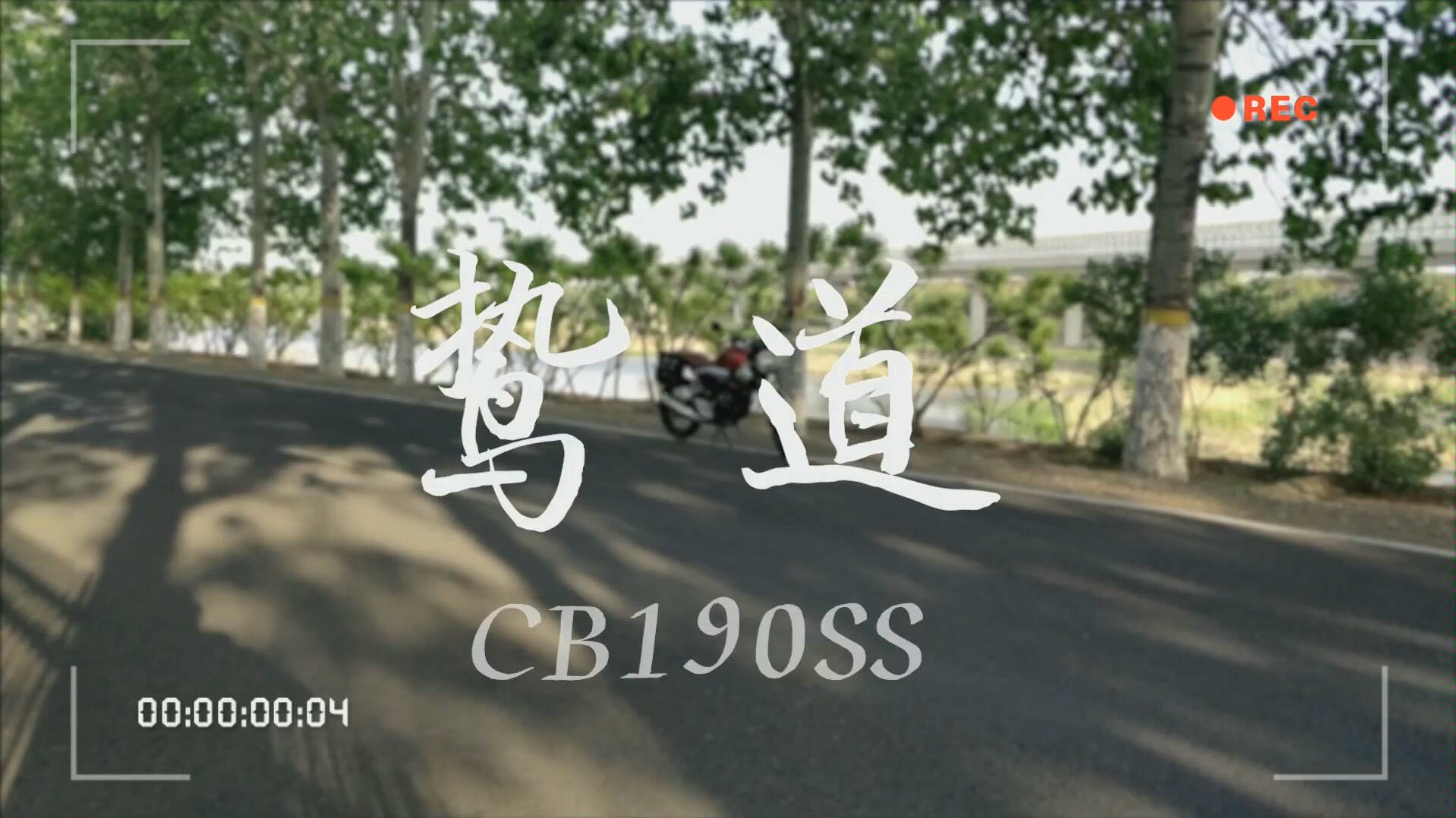 【鸷道展示】鸷道CB190SS各视角展示哔哩哔哩bilibili