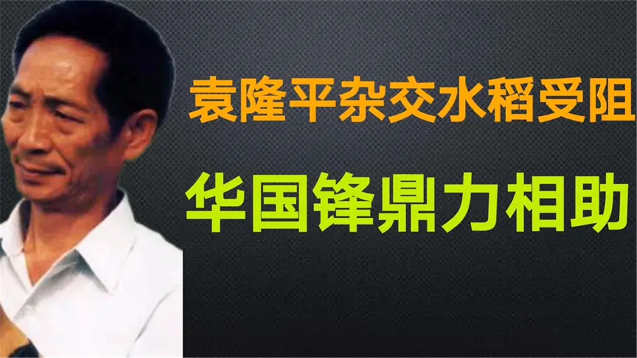 袁隆平如果没有华国锋,杂交水稻不可能大面积推广哔哩哔哩bilibili