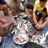 很难想象在印度，三哥杀条鱼都这么特别！