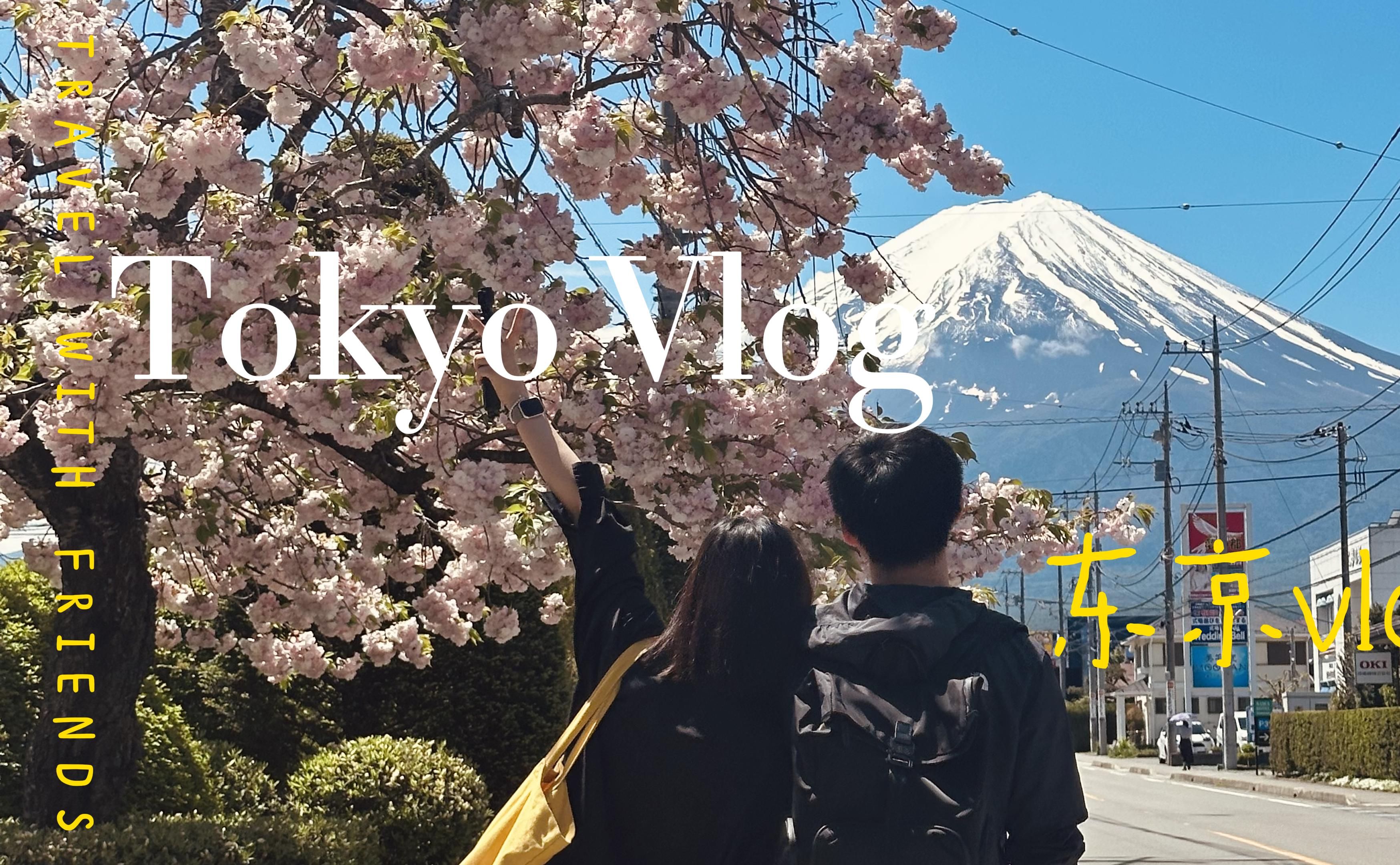 日本VLOG | 东京 · 富士山 · 镰仓 · 涩谷 · 银座 · 新宿
