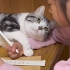 小猫：不许学习，要贴贴！