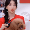 我们男明星piu仔的私生活，嘻嘻…piupiu的初恋女友是萨摩耶，大个头