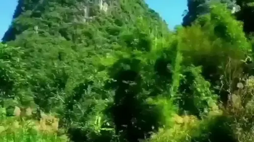 丨回顾一首老歌《高山青-演唱，高胜美》完整版感谢友友聆听！