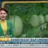 【中国好医院】瓜农患病不配合治疗 医生护士帮其卖掉5000斤香瓜