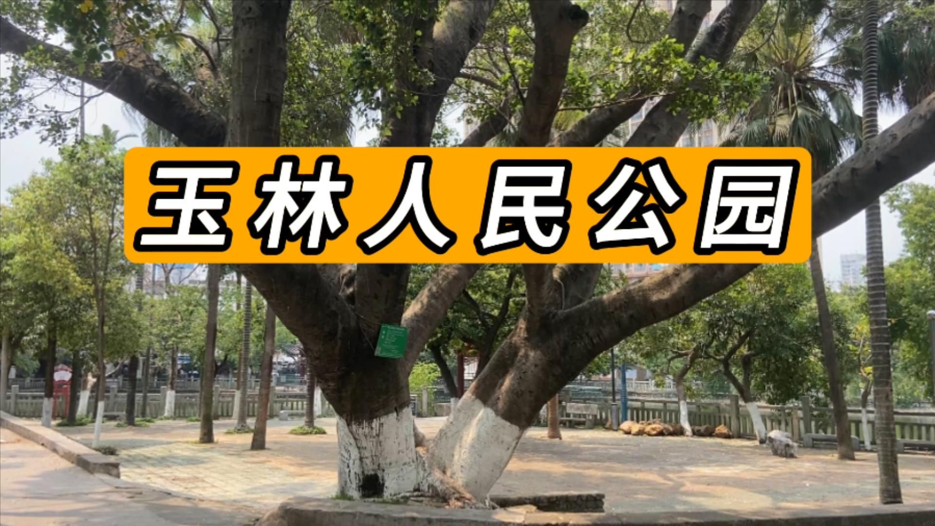 逛玉林市人民公园吓我一跳（笑死我了）