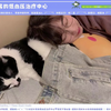 喵☆酱 与 兎 总 的恋爱史第一集