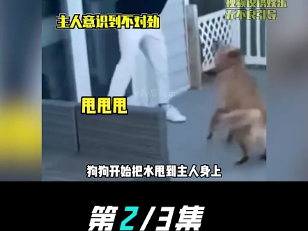 第2集｜不是说好建国之后不许成精的吗，猫猫在吃和害怕中选择了害怕的炫 #娱你安利 #万万想不到 #整活