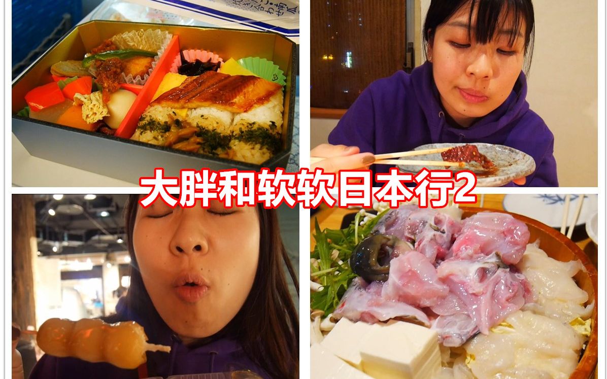 吃不停 剧毒河豚鱼料理 烤肉 刺身 大胖和软软 日本行 旅游 vlog