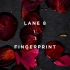 Lane 8  - Fingerprint