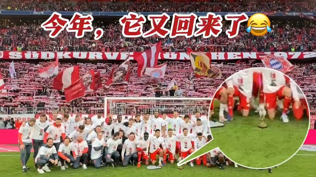 鹦鹉：已严肃担任拜仁吉祥物