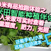 一米田智能种植伴侣小米有品抢跑提前体验，一款接入米家能检测土壤温湿度，肥力，光照的智能花盆；甚至还能自动浇水，妈妈再也不用担心我的菜(花花草草)干死了