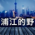 【暗中观察23】黄浦江的野望：上海互联网还有机会吗？观察了700天，这是我的答案。-IC实验室