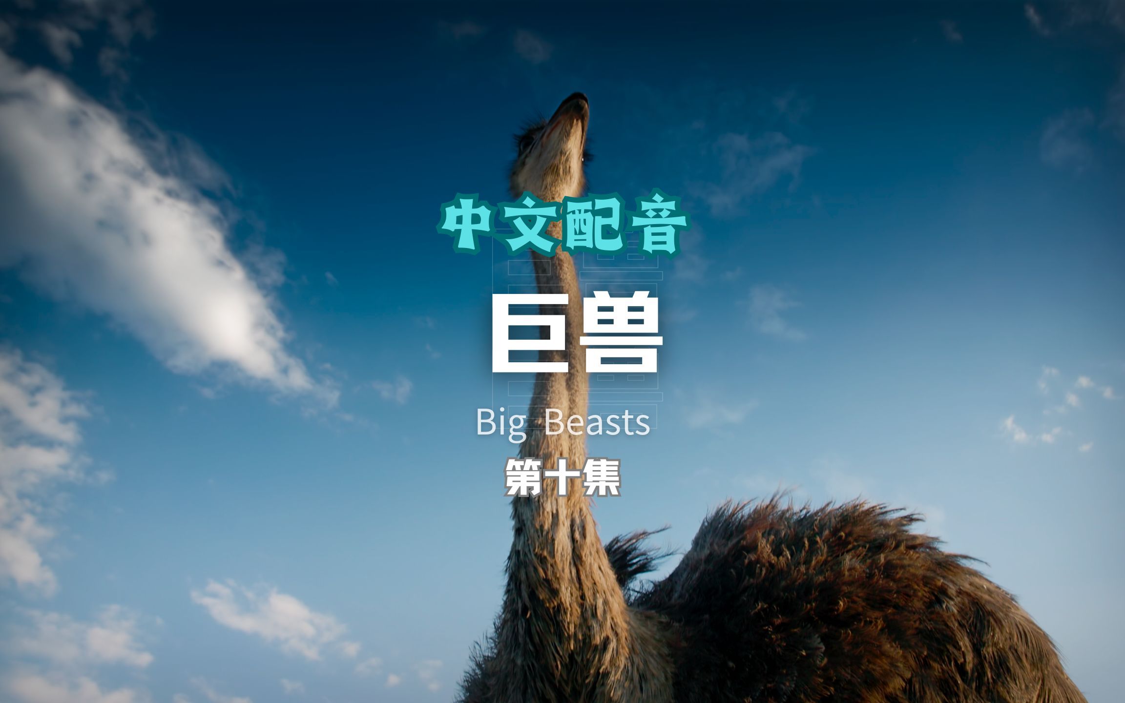 字幕下载