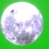 绿幕抠像满月阴森蝙蝠视频素材