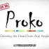 proko绘画大触教你头像素描，高级付费版30个课时！希望能帮到自学的你(≧∇≦)ﾉ_P1从任意角度画头部。上半部分
