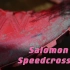 球鞋｜我的第一双越野鞋：萨洛蒙speedcross5 70公里体验