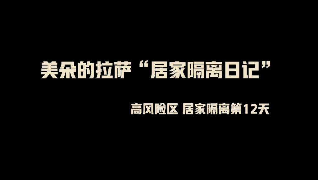 拉萨疫情严重,我在家做了一个工作室出来.哔哩哔哩bilibili