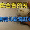 又到拍卖季，带大家拍卖会看预展，惊现斗彩鸡缸杯（上