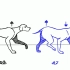 ［动画运动规律］―爪类动物的走路运动方式